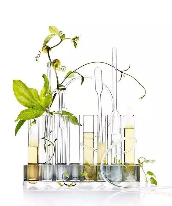 005UmTt9zy7aokHIxAD33&安培; 690